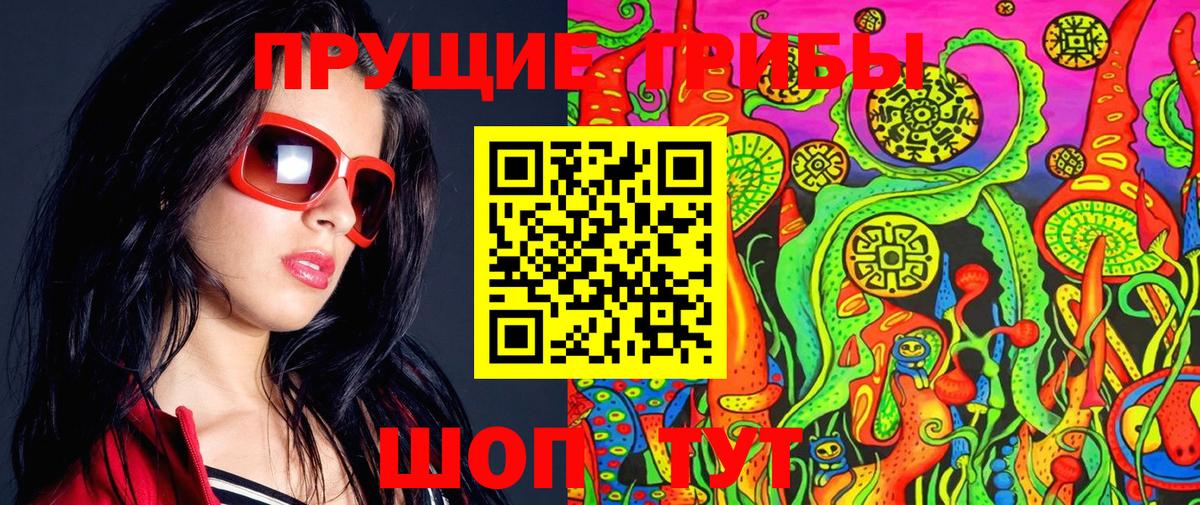 Псилоцибиновые грибы Psilocybine cubensis Абакан