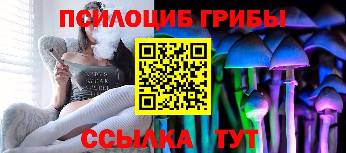 Абакан  магазин продажи наркотиков  Псилоцибиновые грибы Psilocybe  Вход с VPN  Псилоцибиновые грибы GOLDEN TEACHER 